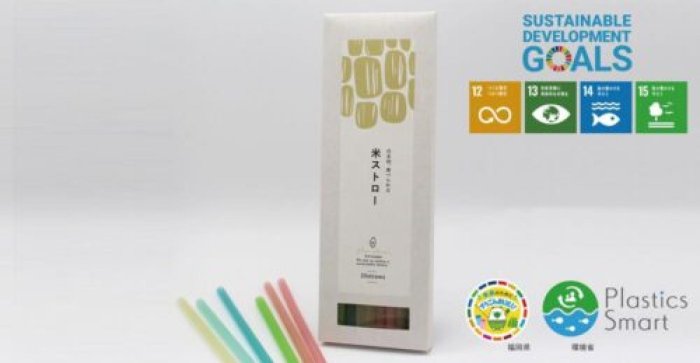 画像17629971573656_17629974771109