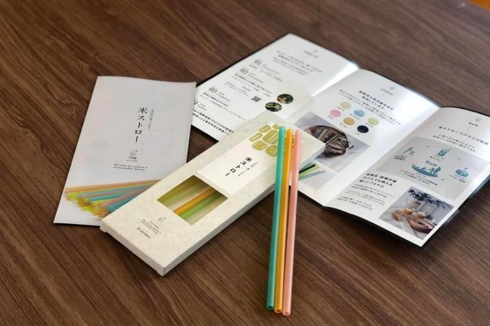 画像17629971573656_17629974772911