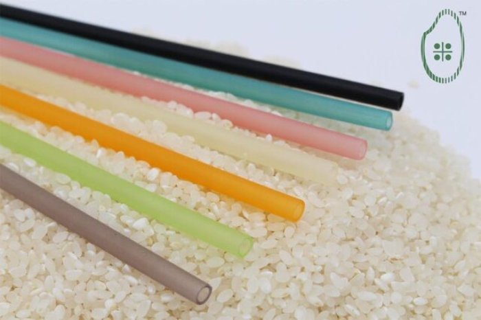 画像17629971573656_17629974774058